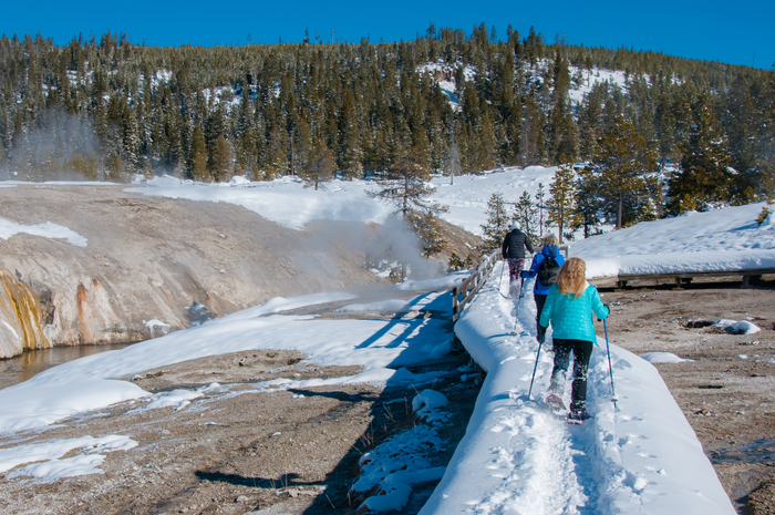 Yellowstone in the Winter